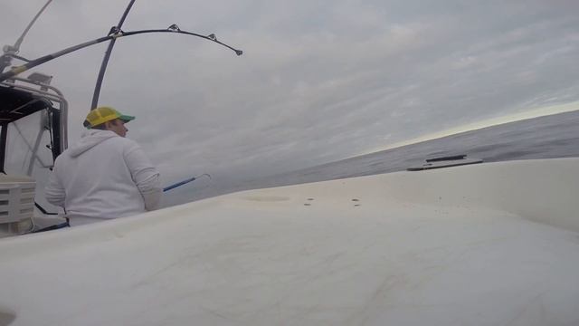 Barrels of the Rock