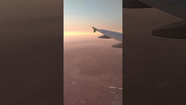Лечу на самолёте из Томска S7 до аэропорта Домодедово