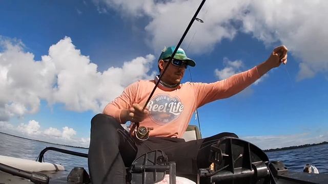 West Lake Snook, Tarpon, Mayan Cichlid, Sea Trout and Jack Crevalle!