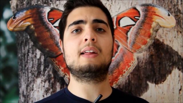 Live Entomofagia, 20 marzo || EntoTV