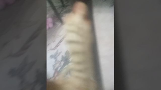 КТО ЖЕ МАФИЯ ???