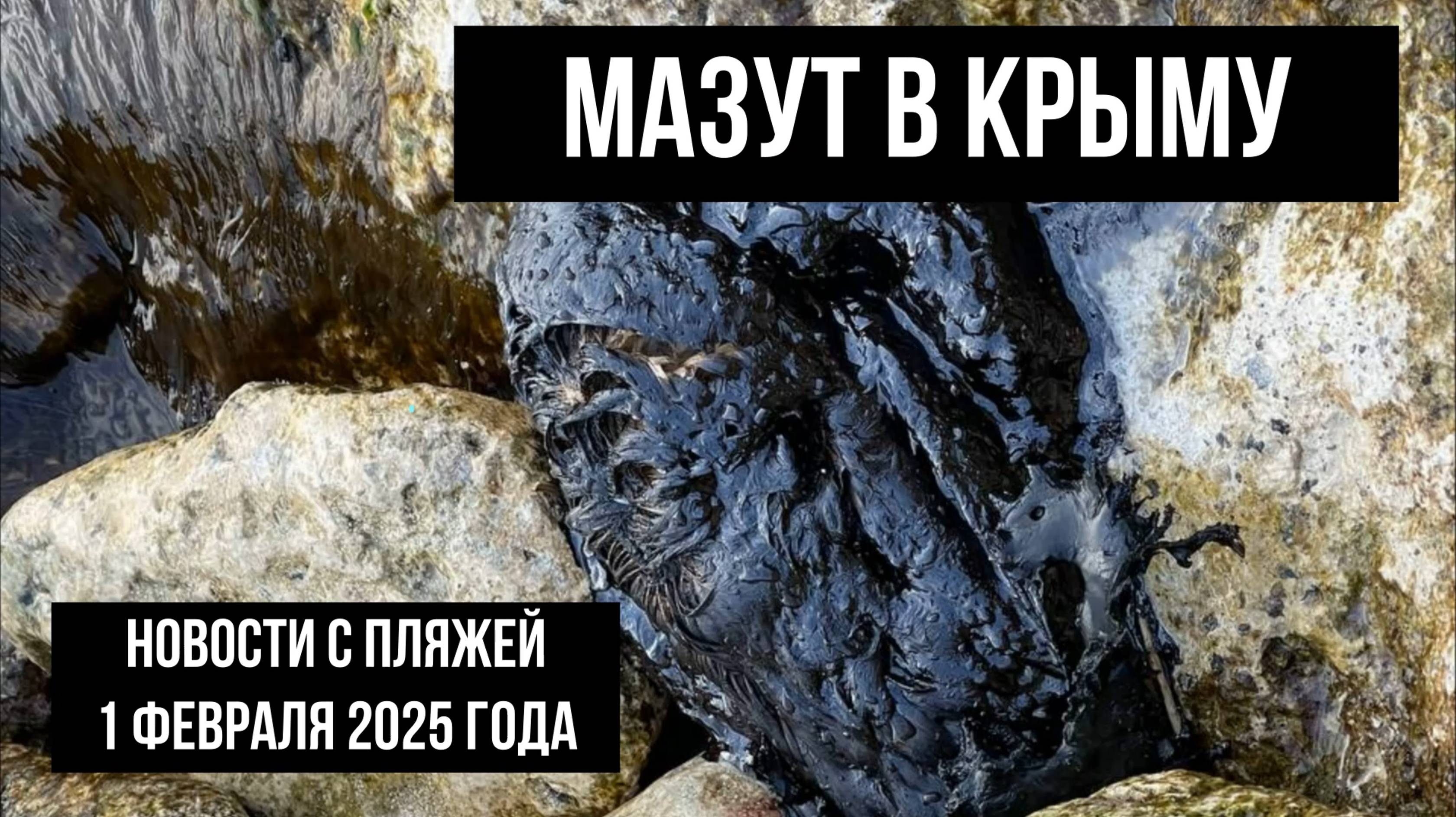 Мазут в Крыму, 1 февраля 2025 года, новости с пляжей. Новости