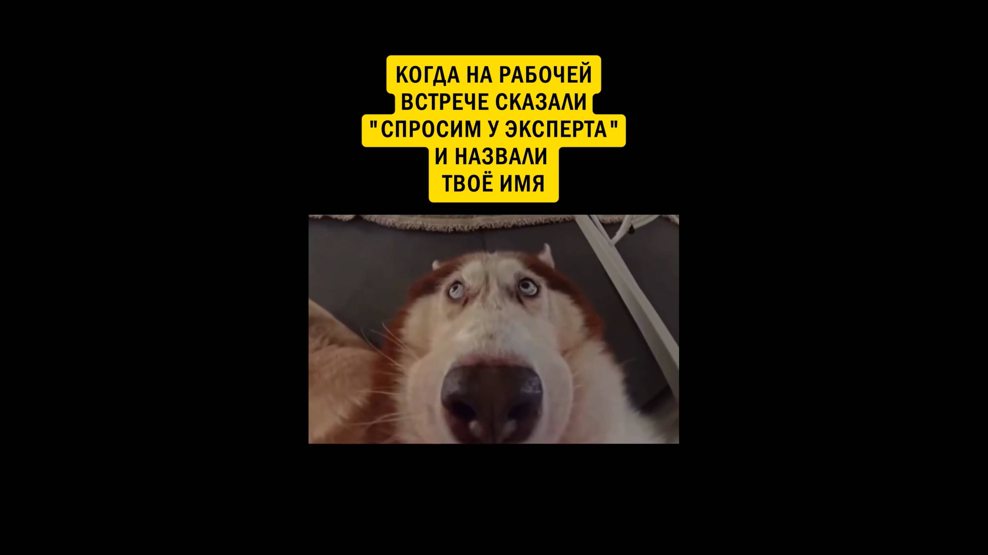 ПОДБОРКА МЕМОВ О РАБОТЕ, 2 выпуск