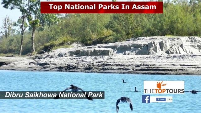 Top 4 National Parks In Assam | Assam National Parks and Wildlife Sanctuaries | TheTopTours