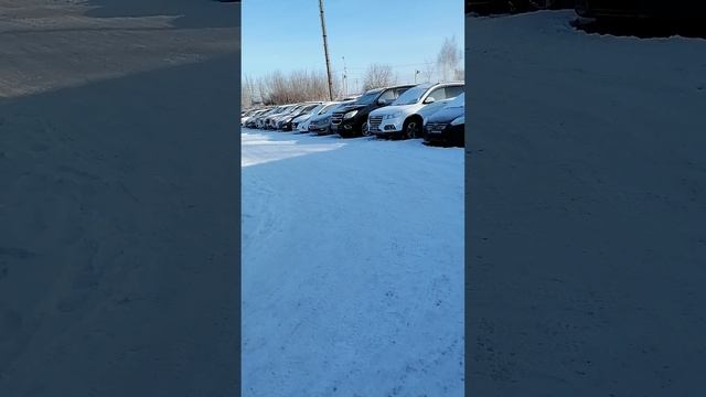 машины на продажу в ттс ждут своего хозяина
