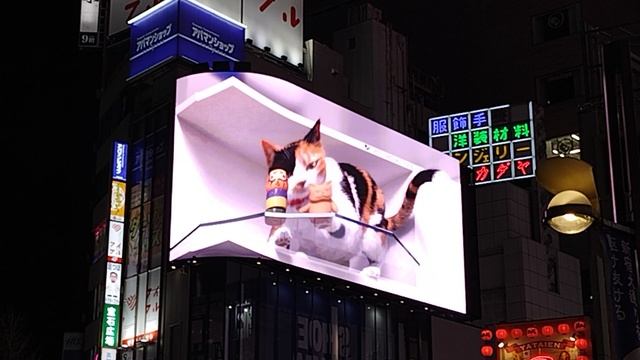 Shinjuku cat — гигантская кошка на Синдзюку в Токио