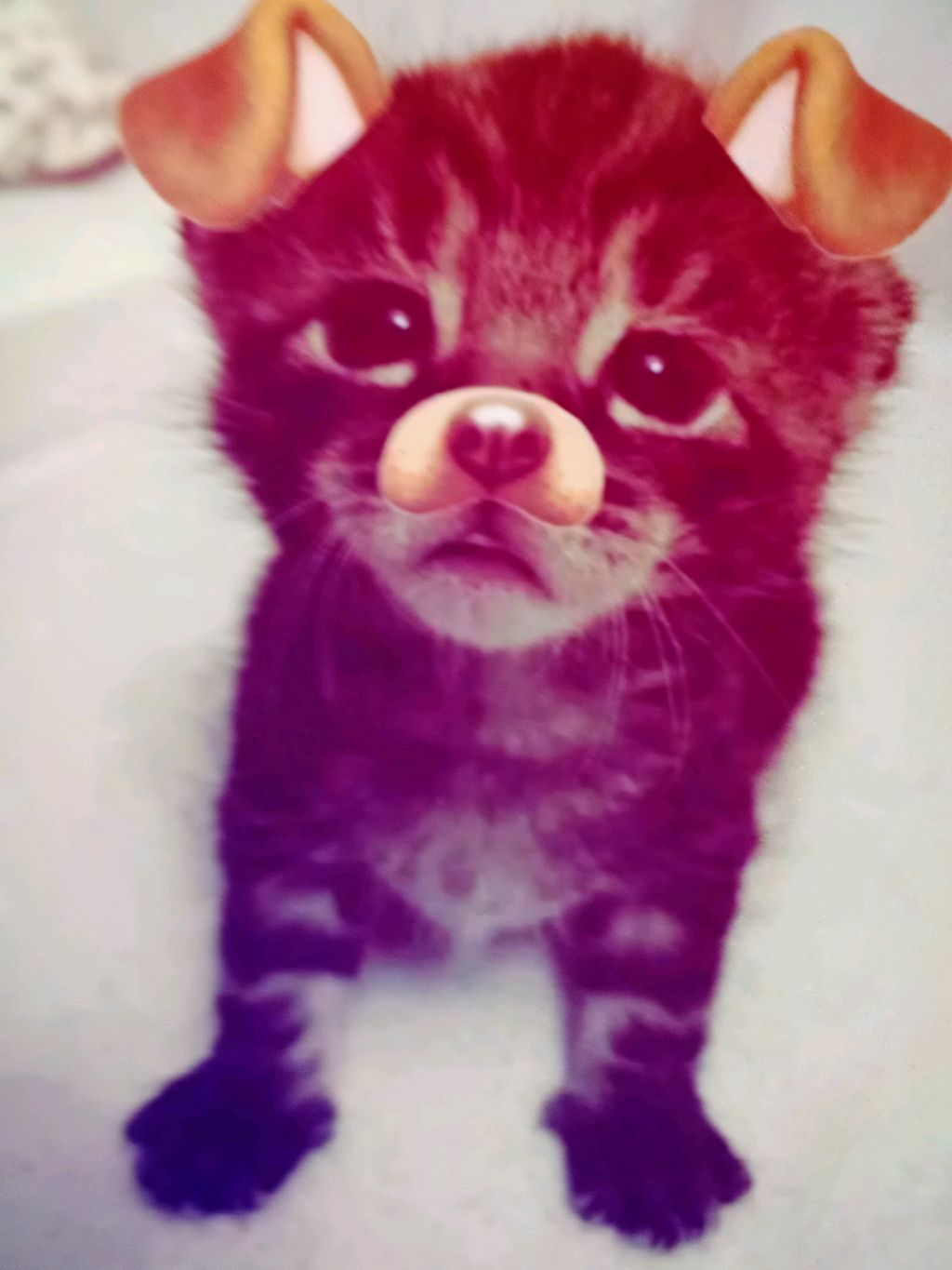 💓💓