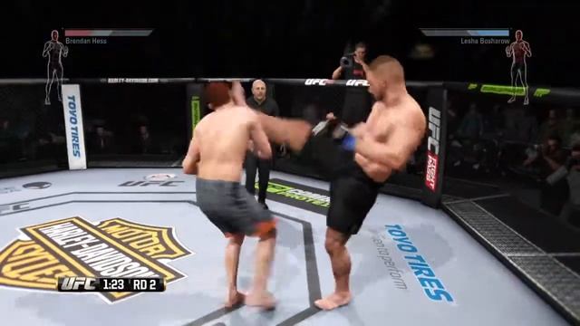 EA SPORTS™ UFC®