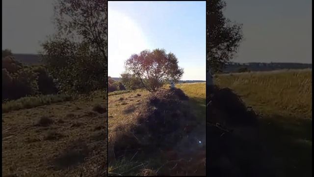 МОЁ ЛЕТО 🌾🌾🌾!СЕНОКОС!!!💐🐐