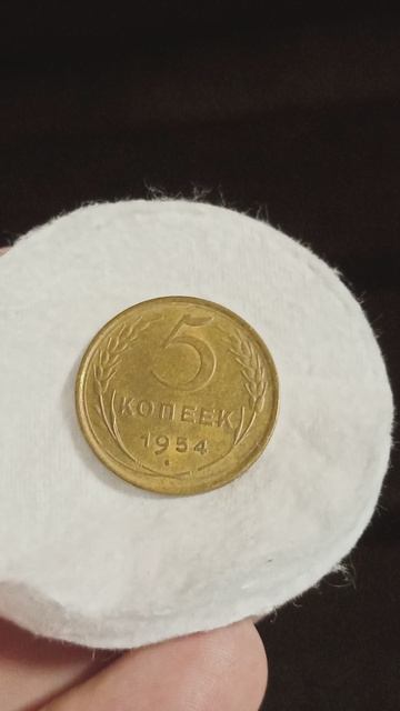5к1954