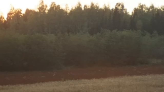 video_2025-02-07_22-41-37