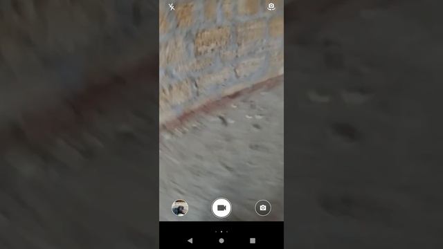 Я показал свой дом и собаку
