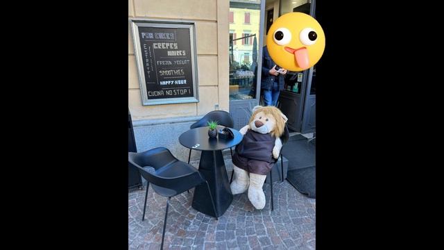 Комо. Медведи есть .... или ? #bellaaveb  #como