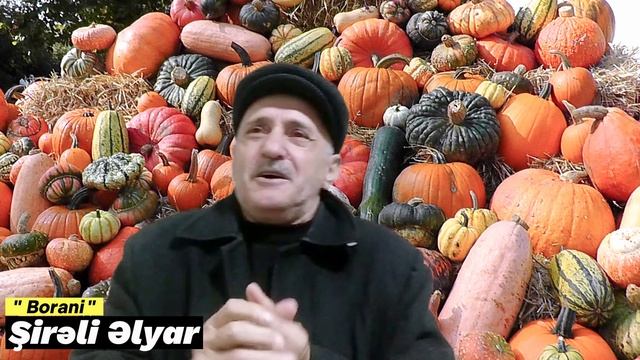 Şirəli Əlyar - Borani