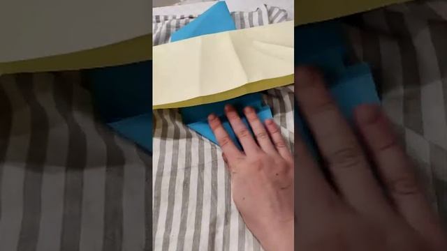 кенгуру
