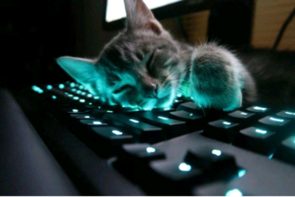 Games играет в Super bear adventure я здесь профи