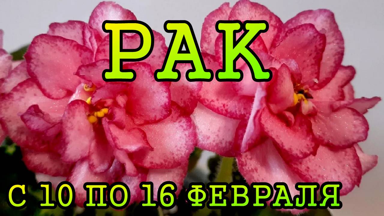 РАК таро прогноз на неделю с 10 по 16 ФЕВРАЛЯ 2025 года.