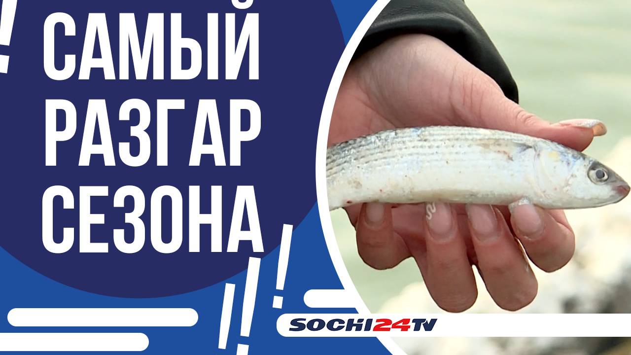 МЕСТНЫЕ РЫБАКИ РАССКАЗАЛИ ЧТО ЛОВЯТ!