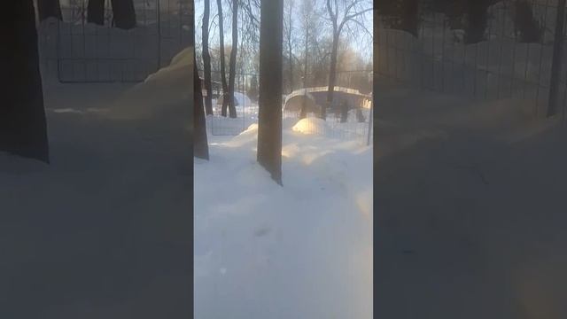 VID-20250207-WA0019