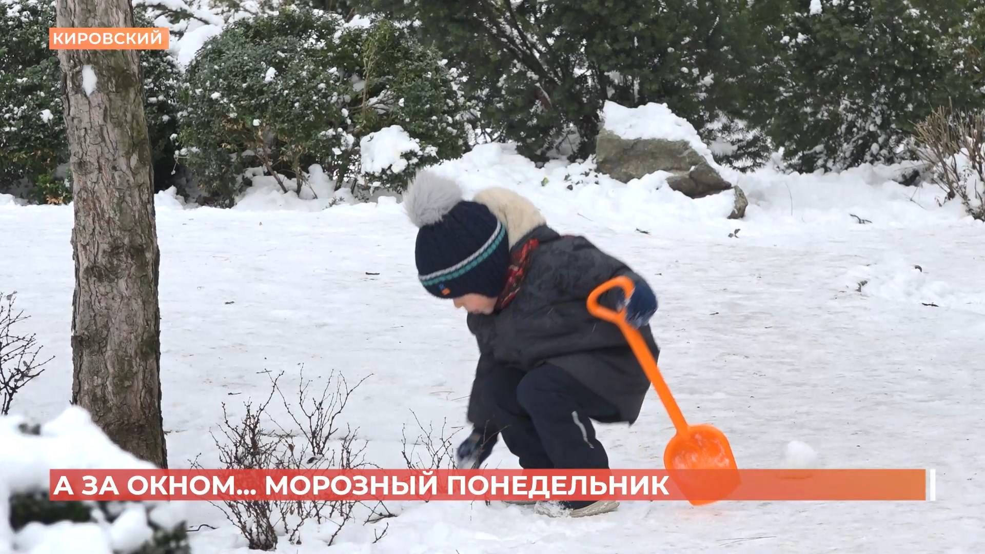 А за окном. 7 февраля 2025