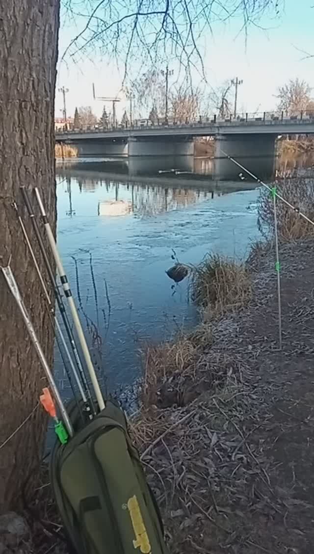 И снова Клязьма. Недодекабрь🤔🤥🐟