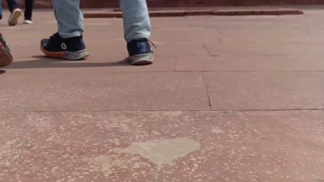 Humayun Tomb Inside Visit with Friends 🔥🔥|Full Vlog| Bhagirath Meena| New Delhi |हुमायूं का मकबरा |