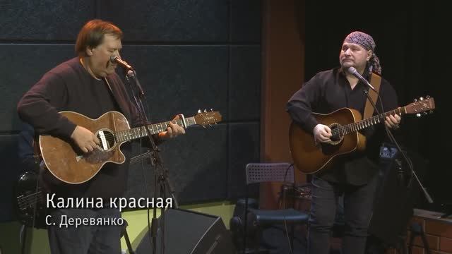 Калина красная