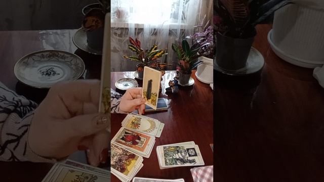 Таро.Кто о вас думает сейчас.