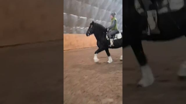Дизель и испанские замашки