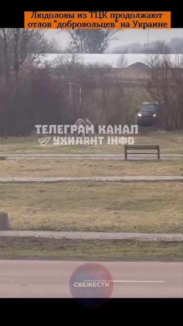 Людоловы из ТЦК продолжают отлов "добровольцев" на Украине