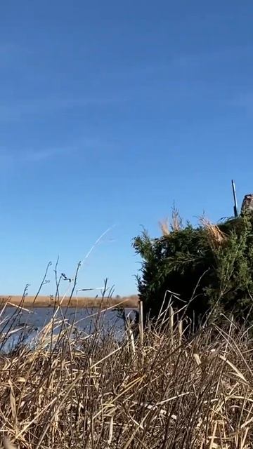 Goosehunting:￼ How we do it…sometimes. #echelonoutdoors