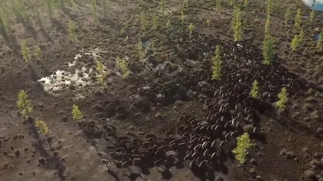https://youtu.be/ttmbigv10nY Самые красивые места в России. Ямал