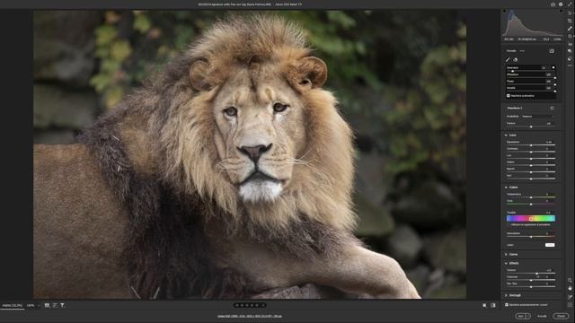 Adobe  Camera  Raw 2023