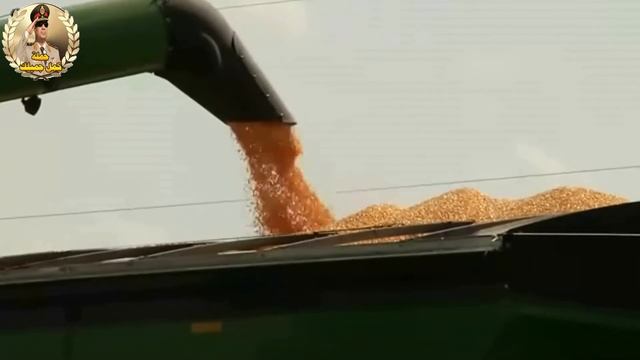 إحنا ولادك يا مصر   كمل جميلك