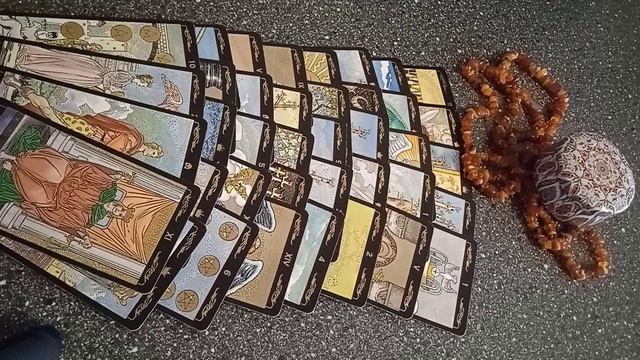 VID_20250207_084539.mp4
