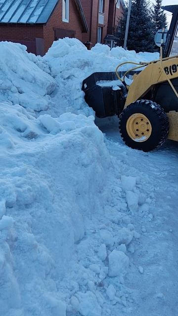 VID_20250207_091552.mp4