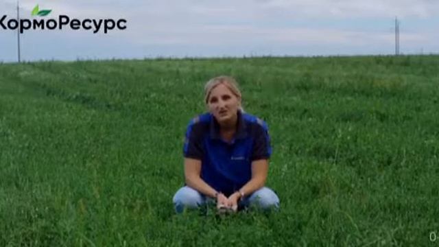 Отбор проб кормов
