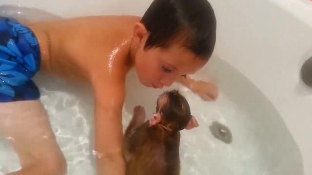 The monkey swims in the tub with a boy | Обезьянка плавает в ванне с мальчиком