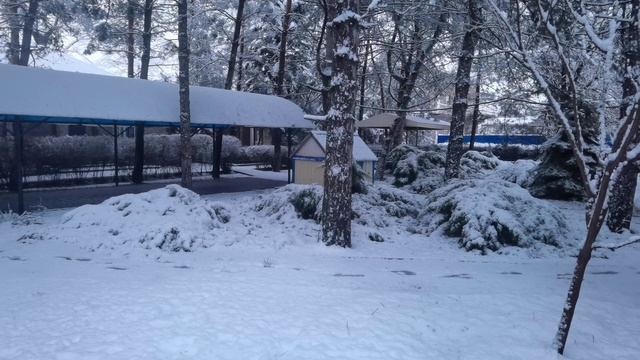 Вот и к нам Зима пришла – детям радость, коммунальщики в восторге! Мгновения Зимней сказки.