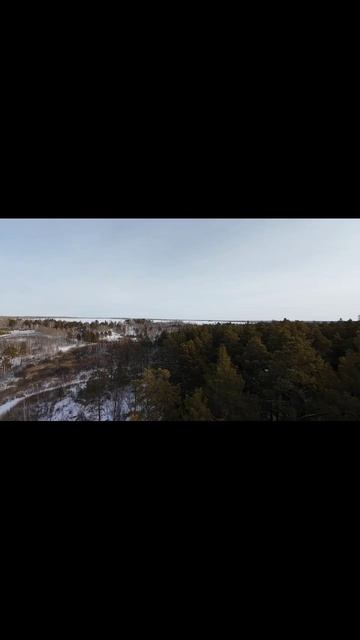 Над лесом