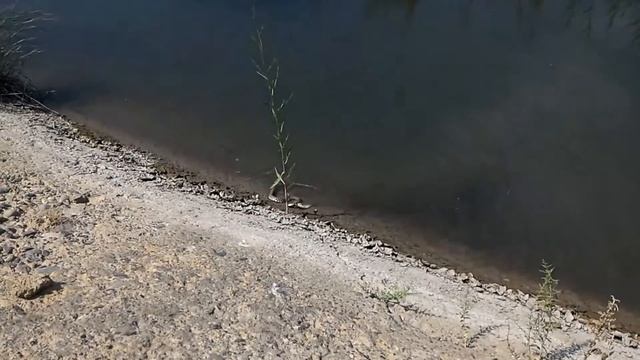 Мое измененное видео