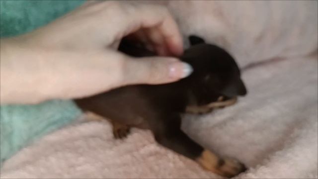 1000043351.mp4