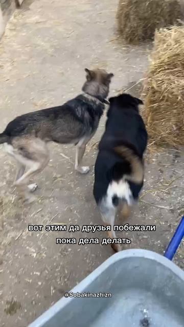 Опять холод, опять минус