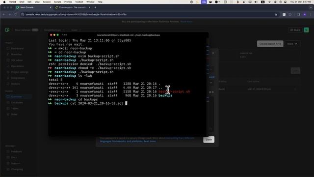 The Ultimate Neon Database Backup Script