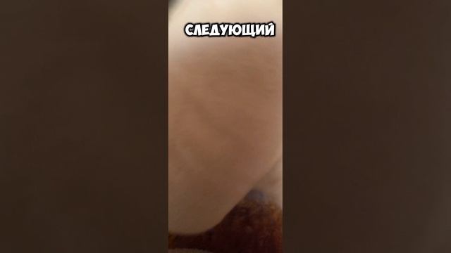 Коты 1сесон 1часьть