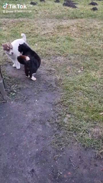 1000131733.mp4