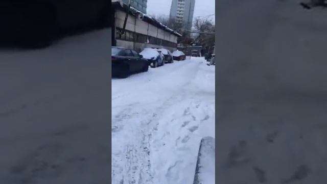Тридцать шестая история (снегу быть)