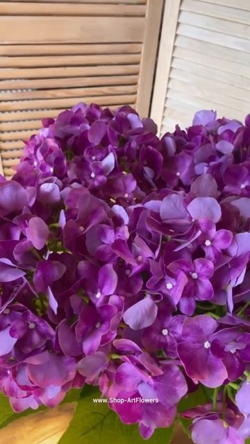Готовые решения 🌸