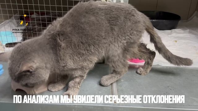 Джейд не торопится выздоравливать. Поддержать ⬇️