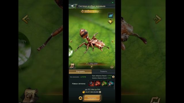 7.02.25 Ant Legion